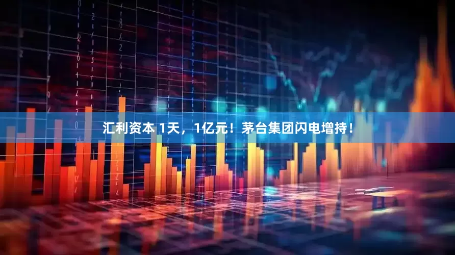 汇利资本 1天，1亿元！茅台集团闪电增持！