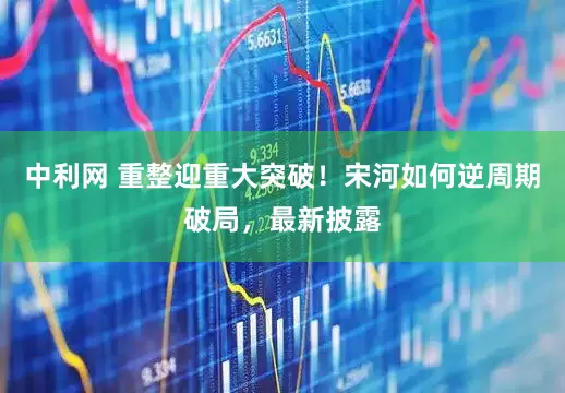 中利网 重整迎重大突破！宋河如何逆周期破局，最新披露