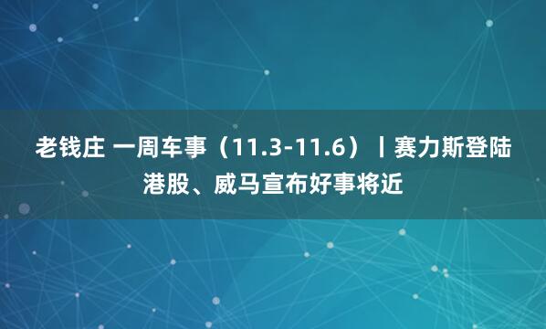 老钱庄 一周车事（11.3-11.6）丨赛力斯登陆港股、威马宣布好事将近